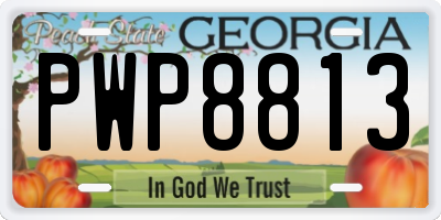 GA license plate PWP8813