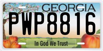 GA license plate PWP8816