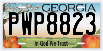 GA license plate PWP8823