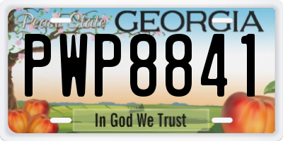 GA license plate PWP8841