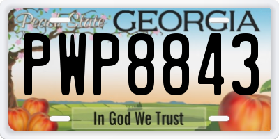 GA license plate PWP8843