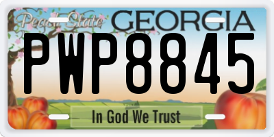 GA license plate PWP8845