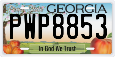 GA license plate PWP8853