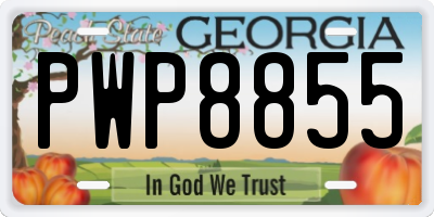 GA license plate PWP8855