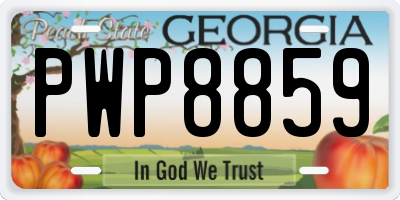 GA license plate PWP8859
