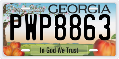 GA license plate PWP8863