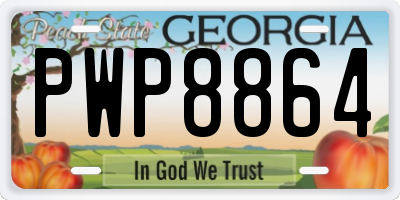 GA license plate PWP8864