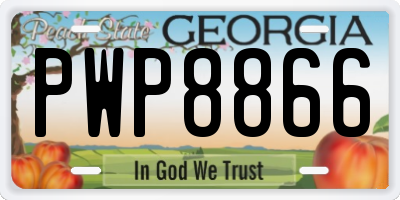 GA license plate PWP8866