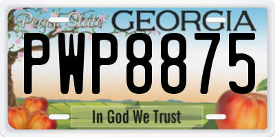 GA license plate PWP8875