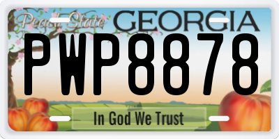 GA license plate PWP8878