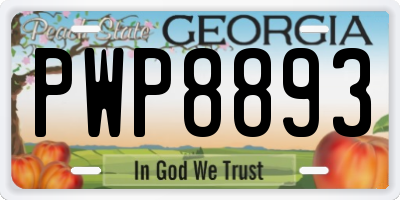 GA license plate PWP8893
