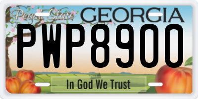 GA license plate PWP8900