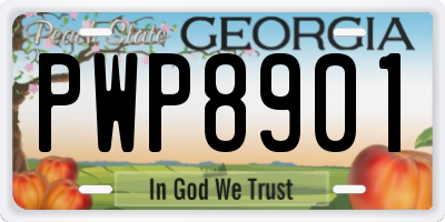 GA license plate PWP8901