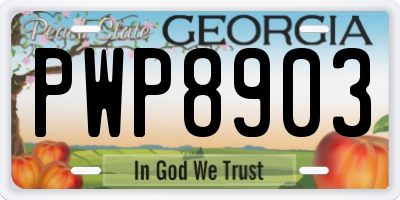 GA license plate PWP8903