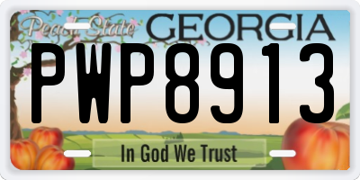 GA license plate PWP8913