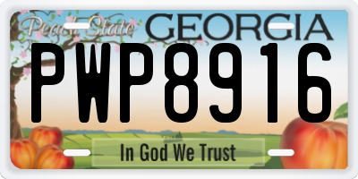 GA license plate PWP8916