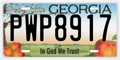 GA license plate PWP8917