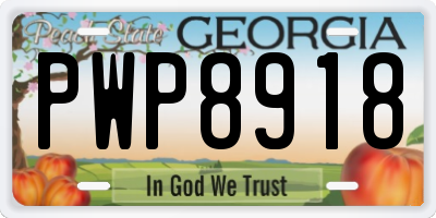 GA license plate PWP8918