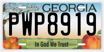 GA license plate PWP8919