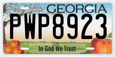 GA license plate PWP8923
