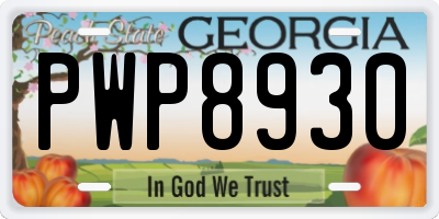 GA license plate PWP8930