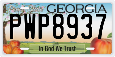 GA license plate PWP8937