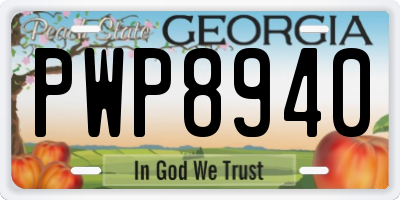 GA license plate PWP8940
