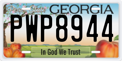 GA license plate PWP8944