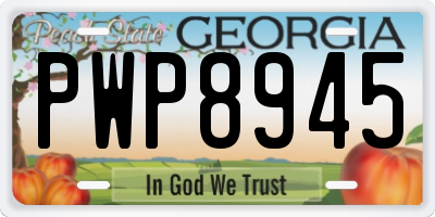 GA license plate PWP8945