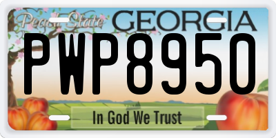 GA license plate PWP8950