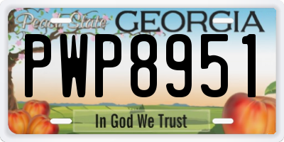 GA license plate PWP8951