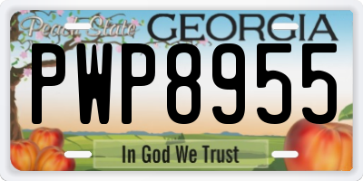 GA license plate PWP8955
