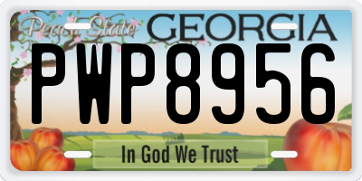 GA license plate PWP8956