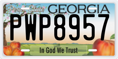 GA license plate PWP8957