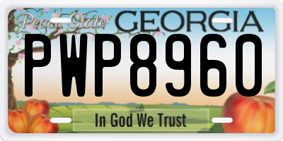 GA license plate PWP8960