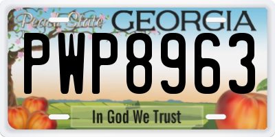 GA license plate PWP8963