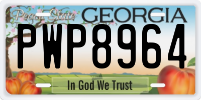 GA license plate PWP8964