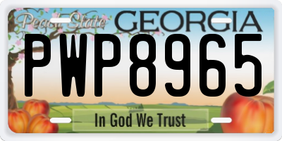 GA license plate PWP8965