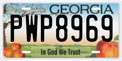 GA license plate PWP8969