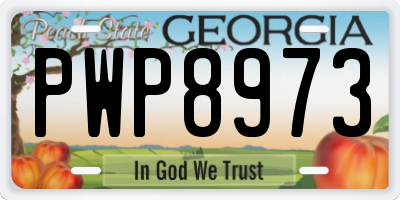 GA license plate PWP8973