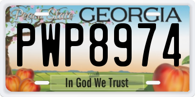 GA license plate PWP8974