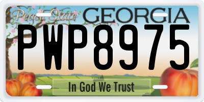 GA license plate PWP8975