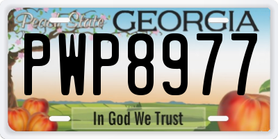 GA license plate PWP8977