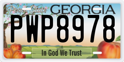 GA license plate PWP8978