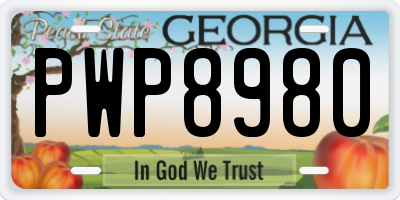 GA license plate PWP8980