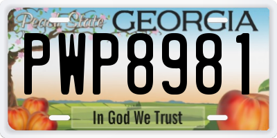 GA license plate PWP8981