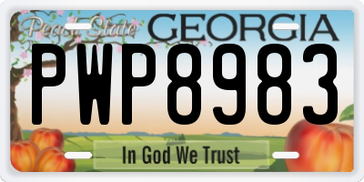 GA license plate PWP8983