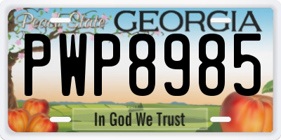 GA license plate PWP8985