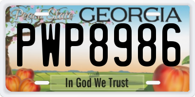 GA license plate PWP8986