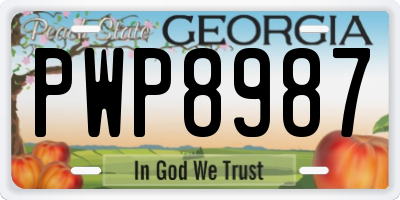 GA license plate PWP8987